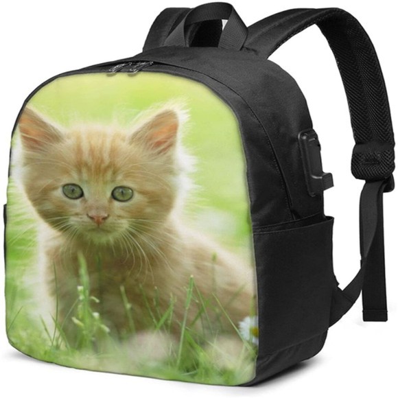 Meet your Posher, Gable - Picture 1 of 1